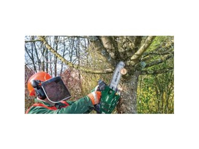 Petrol Chainsaw