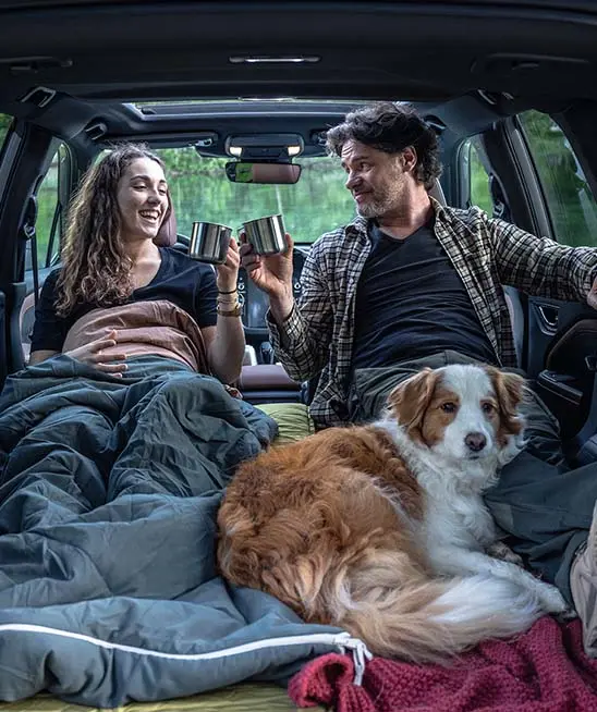 FUN. 
     Enjoy a responsive drive with Forester.